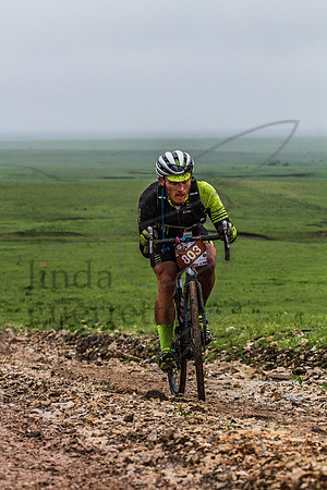 DK200cattlepens-11