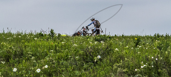 DK200oncourse-201