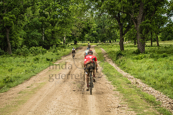 DK200oncourse-232