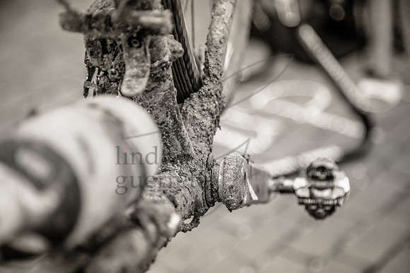 DK200bikesscenery-10