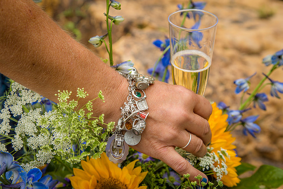 Spencer_Crane_ceremony_1-2742