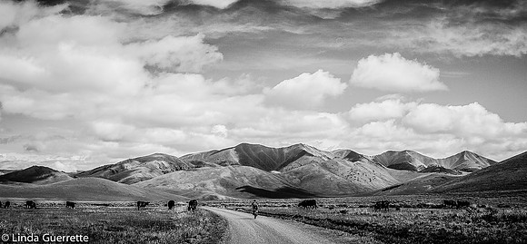 IMG_8172-2