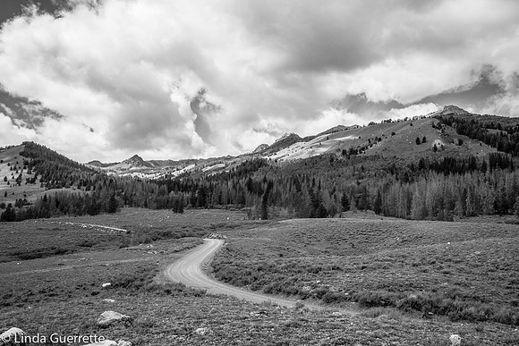 IMG_8326
