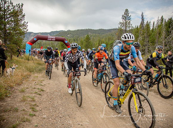 Queen Stage Race