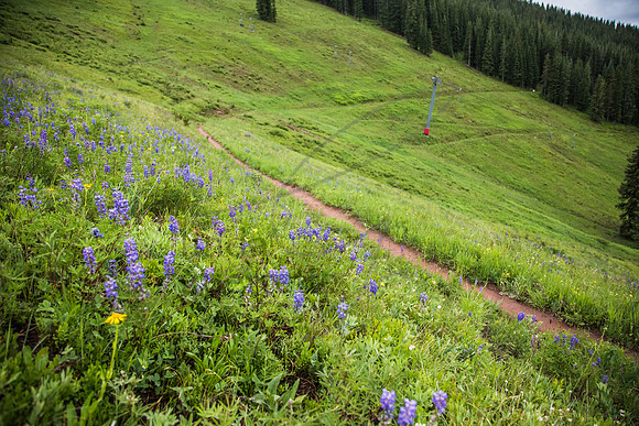 VailHillClimb2015-54