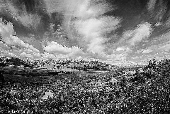 IMG_8211