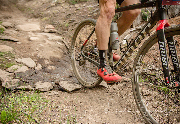 Queen Stage Race